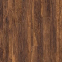 ДУБ ФЛАНЕЛИВО-СЕРЫЙ